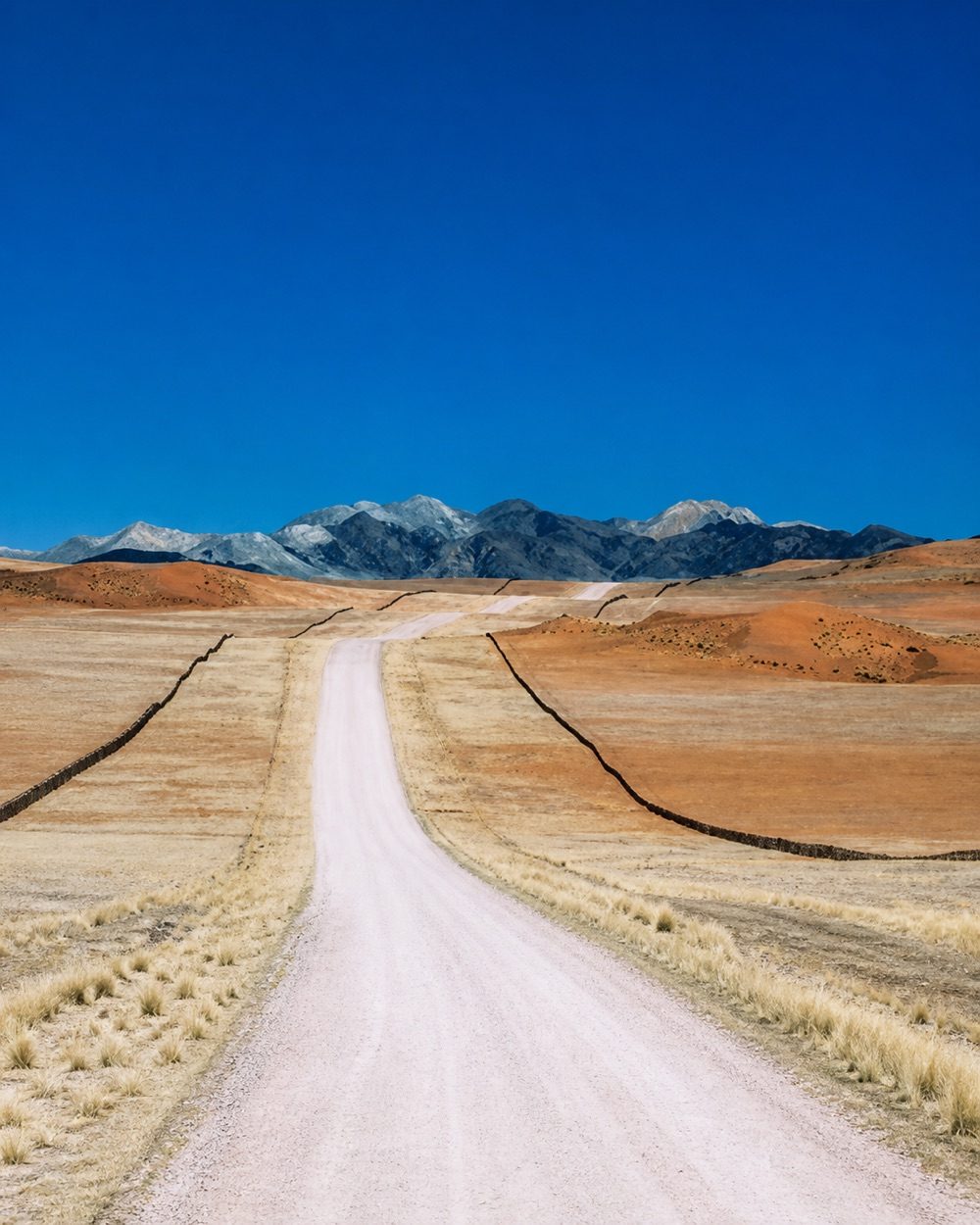 La piste